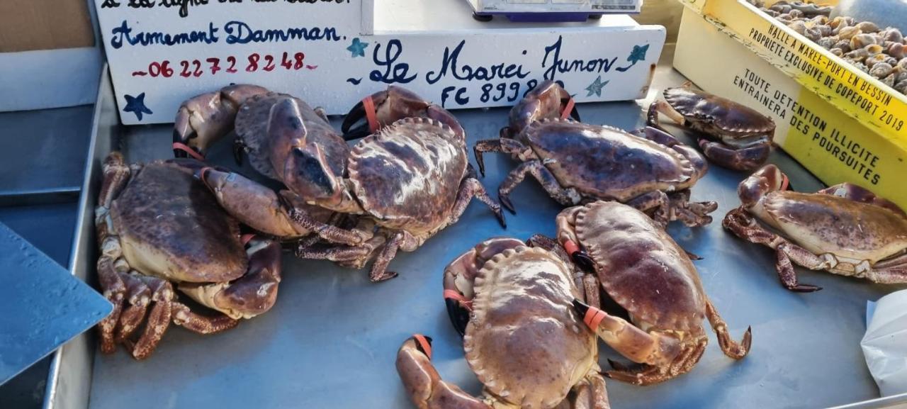 Appartement Sur Le Port, 105M Rez De Jardin Avec Parc Privatif サン・バレリ・アン・コー エクステリア 写真